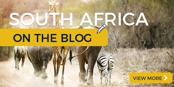 South Africa on the Blog